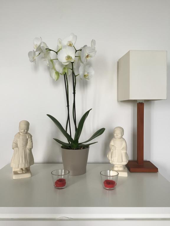 Appartement Design I - Port Du Rosmeur - Douarnenez Kültér fotó